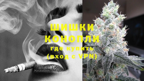 ГАЛЛЮЦИНОГЕННЫЕ ГРИБЫ Вяземский