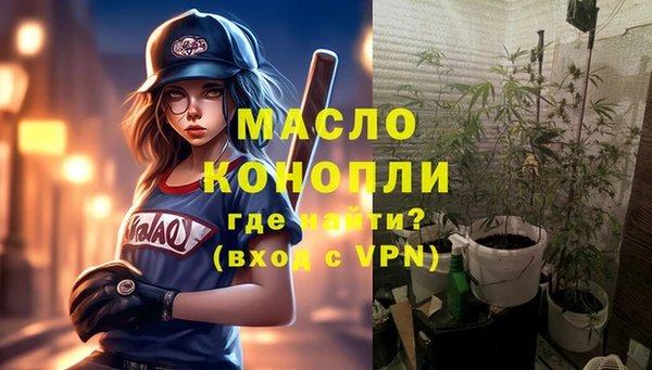 индика Бугульма