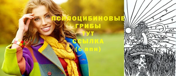таблы Дмитровск