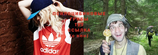 индика Бугульма