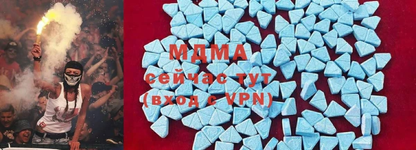 apvp Бородино