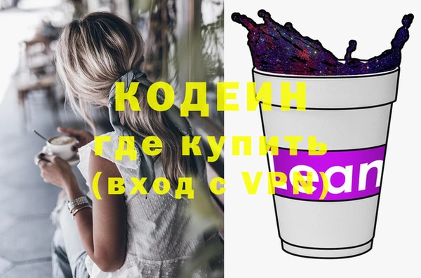 apvp Бородино