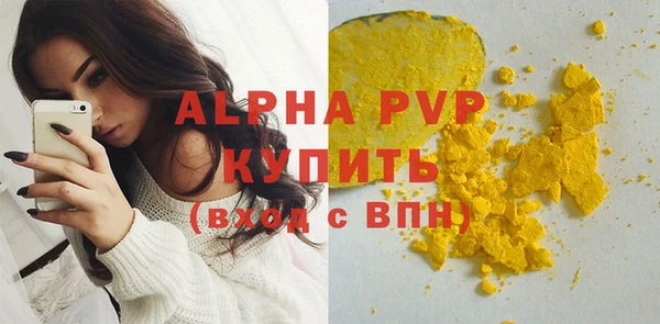 индика Бугульма