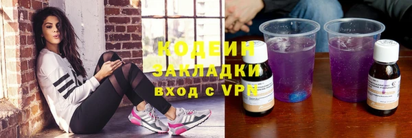 apvp Бородино