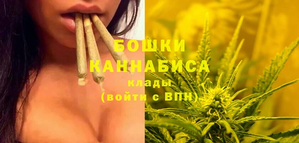 прущий лед Бронницы