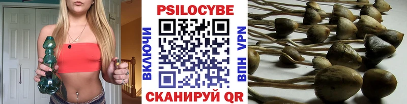 Галлюциногенные грибы прущие грибы  Лукоянов 